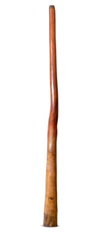 Tristan O'Meara Didgeridoo (TM469)